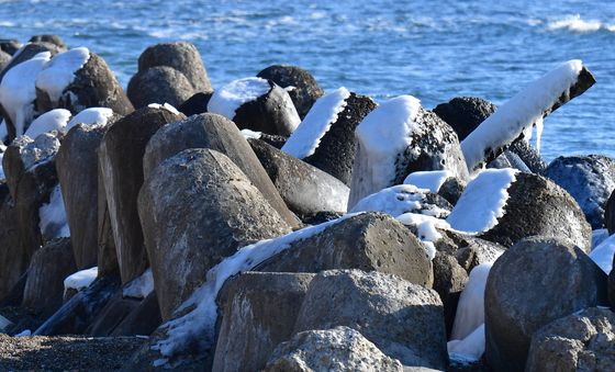 동장군 찾아온 자리
