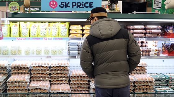 고병원성 AI 확산 속 계란값 잡기 총력, 수입란 국내 반입