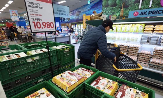농식품부, 계란 수급 불안 대응…미국산 신선란 224만개 수입