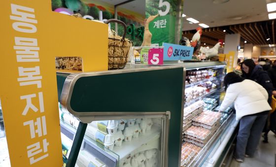 계란 가격 안정 나선 정부, 미 신선란 첫 반입 완료