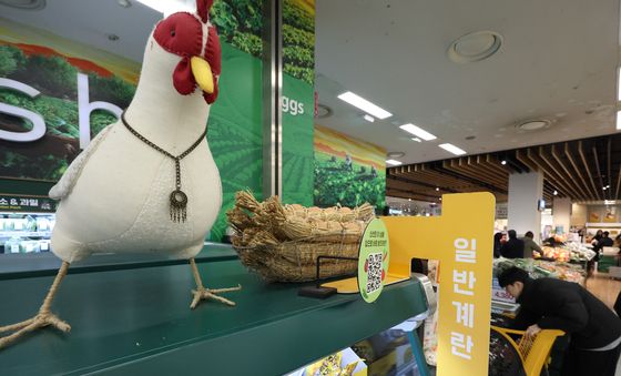 AI 확산에 계란 수급 흔들
