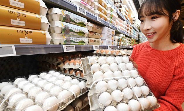 홈플러스, 미국산 계란 4만5000판 국내 마트 단독 판매