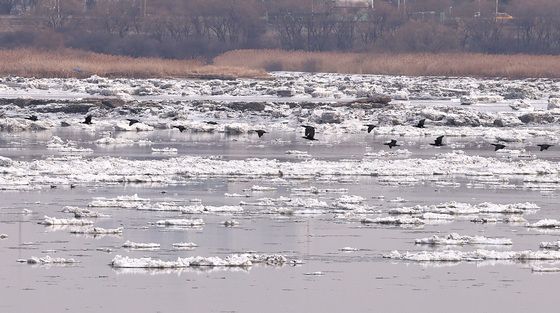 꽁꽁 얼어붙은 한강 위로
