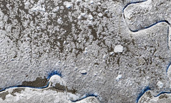 갯벌이 얼어붙는 날씨