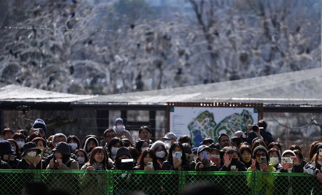 [포토] 中가는 판다 배웅하는 일본인