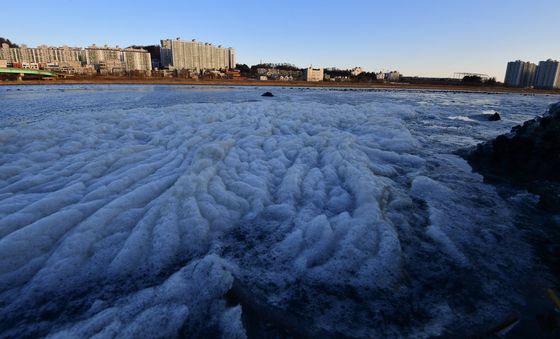 얼어 붙은 형산강