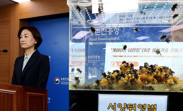 농진청, 화분매개벌 '케이(K)-뒤영벌' 성과 가시화