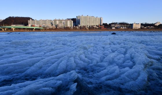 포항 형산강도 꽁꽁 '북극에 온 것 같아요'