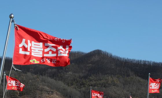 영남 전역·강원 일부, 산불 국가위기경보 '경계'