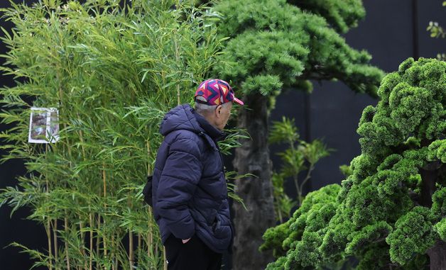 정원을 꾸며볼까