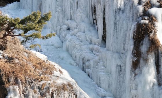 따뜻한 커피 마시며 즐기는 겨울 풍경