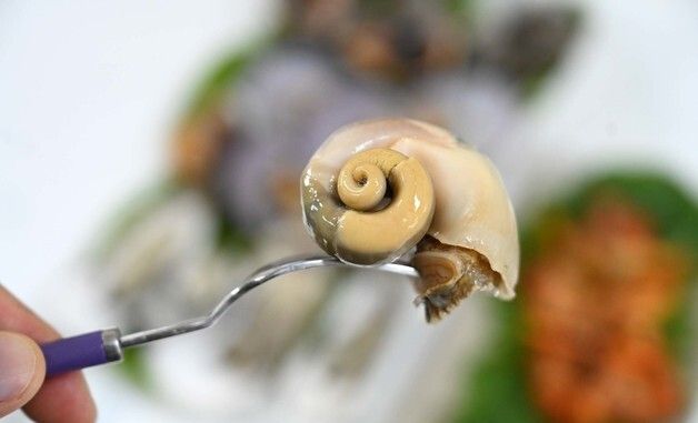 홍성 남당항 수산물 풍성, 참소라 요리 활기