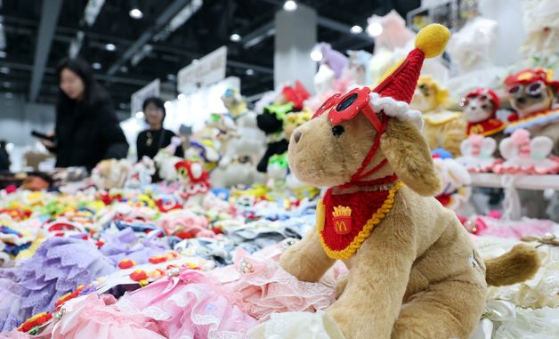 냥이가 좋아할 옷은?