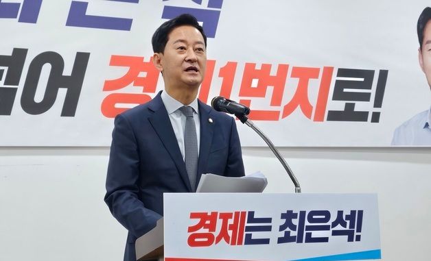 '올리브영 신화' 최은석 대구시장 출마선언