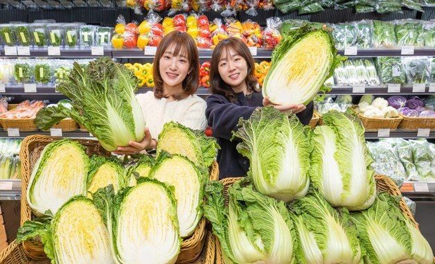 현대백화점, 국내 자체 개발한 신품종 배추 \'아삭갓배추\' 출시