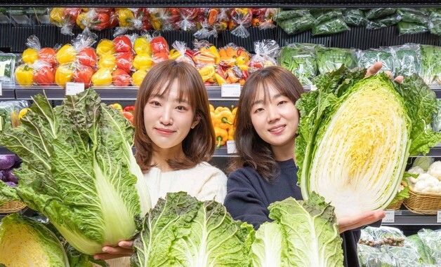현대백화점, 국내 자체 개발한 신품종 배추 \'아삭갓배추\' 출시
