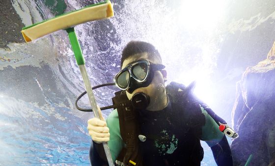 새해 맞이 대청소