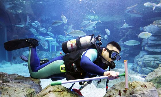 새해 맞이 대청소