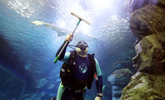 '새해 맞아 수조 청소해요'