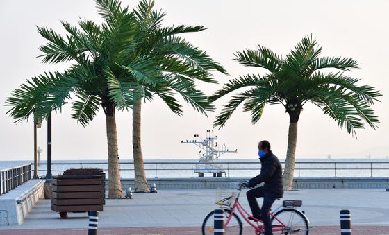 사계절 푸른 인공 야자수