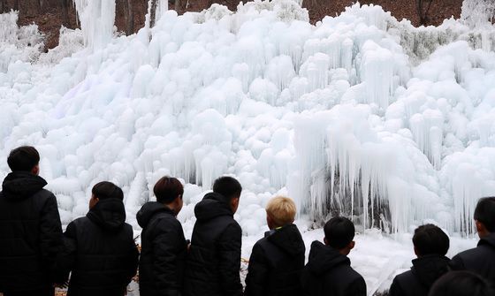 꽁꽁 얼어붙은 비슬산 얼음동산