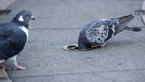 '너 지금 뭐하니?'