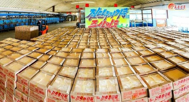 평양건재공장, 전국 주요 건설현장에 건재품 공급