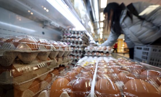 정부, 1월 한 달 간 돼지고기·계란 할인 지원