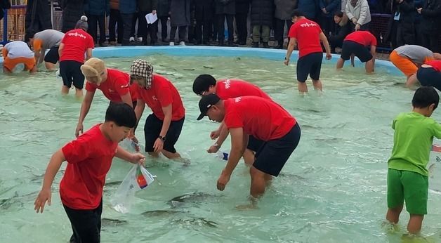 \"손으로 물고기 잡기\"…평창송어축제 인기
