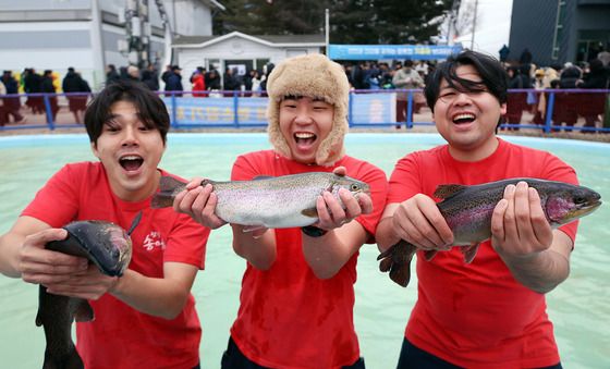 평창송어축제 개막 '맨손으로 잡은 송어'
