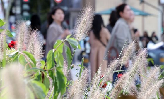 '가을이 성큼'
