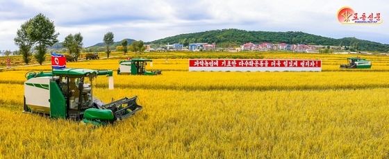 北 온천군, 올해 농사서 '좋은 작황' 선전