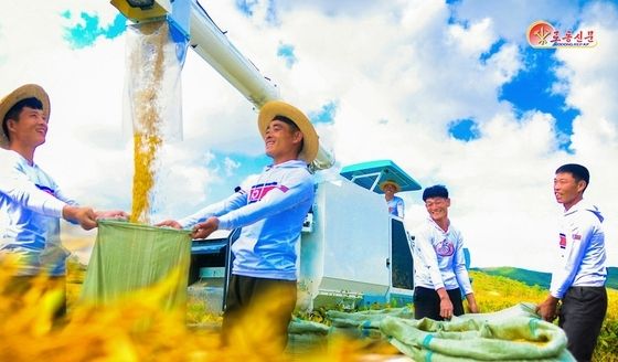 北 "풍요로운 가을"…각지 농촌서 벼 수확 한창