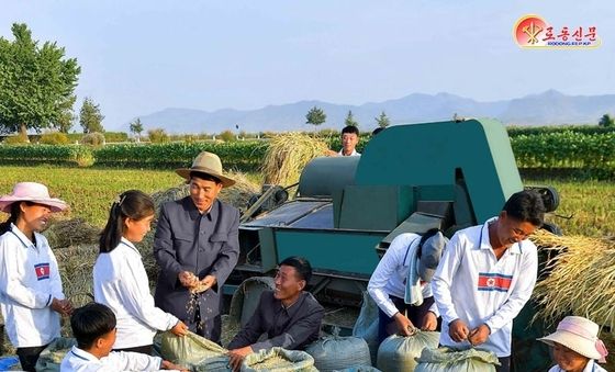 北, 가을 추수철 수확 성과 선전…강안농장 조명