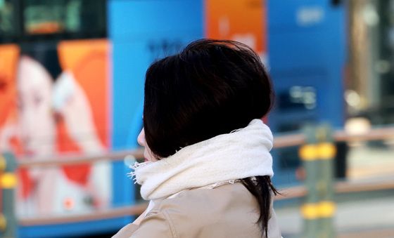목도리 두르고 출근