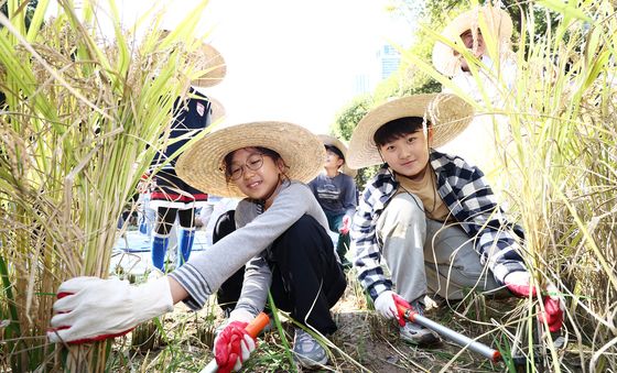 '벼 베기 잘 하죠?'