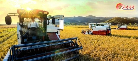 北, 선천군 가을걷이…수확·탈곡 계획 연일 넘쳐 수행