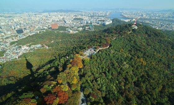 가을색으로 물드는 남산