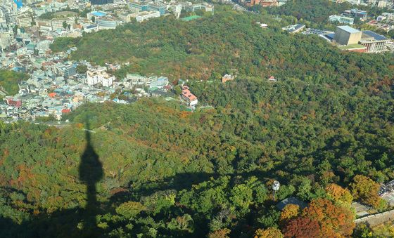 '가을색으로 물드는 남산'
