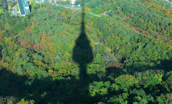 '가을색으로 물들어가는 남산'