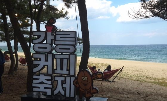 \"솔향 아래 커피 한잔\"…강릉커피축제