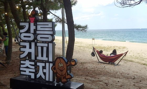 커피향 머금은 바다서 해먹에 누워