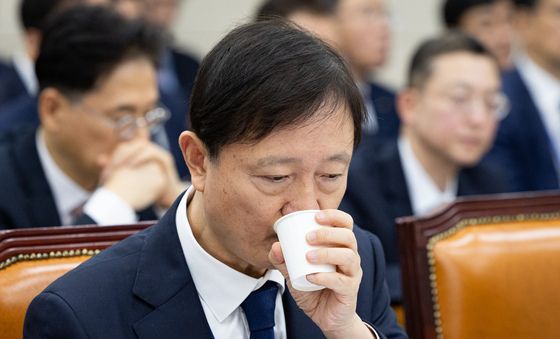 [국감] 속 타는 이찬진 금감원장