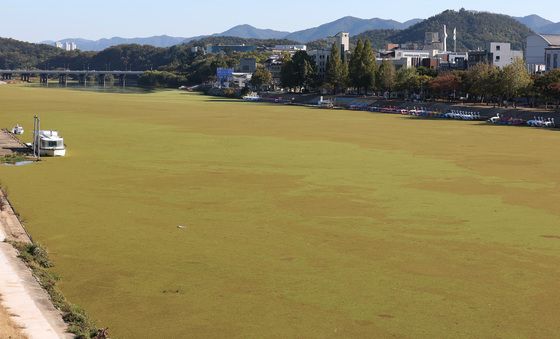 대구 금호강, 식수원 사용 문제 없나?