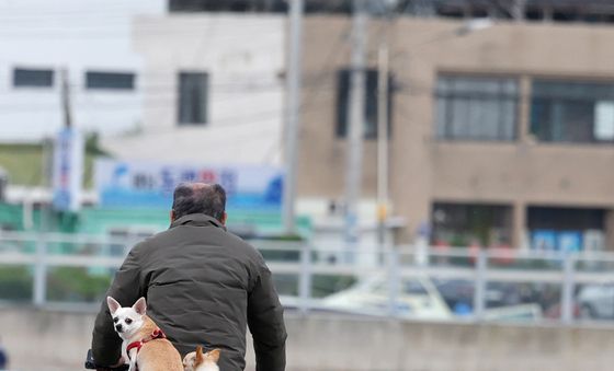 자전거 타고 가는 반려견