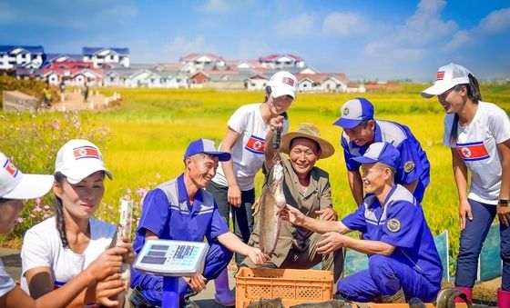 北 "논판양어로 정보당 최고 13톤 알곡 수확 예상"
