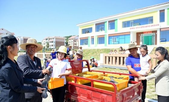北 농촌에 부는 '논판양어' 바람…"비료 줄이고 수확 늘려"