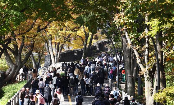 가을이 가기 전에 즐기는 단풍
