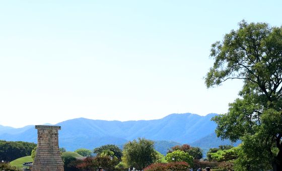 첨성대와 핑크뮬리