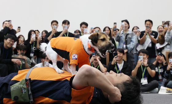 인명구조견 신디의 심폐소생술 시범